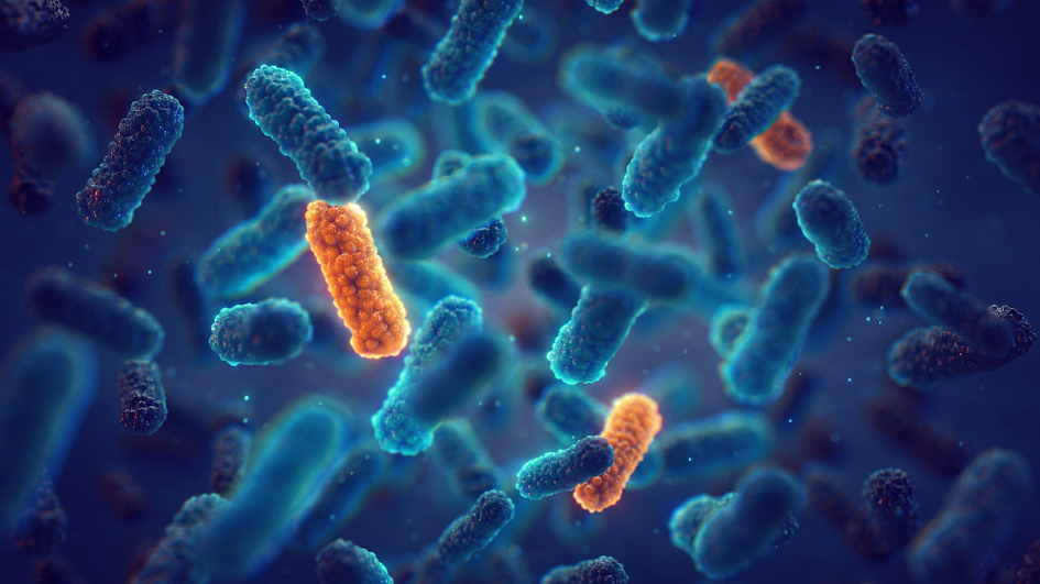 Resistance occurs when bacteria change over time and no longer respond to medicines. Genetic mutation in bacteria can lead to antibiotic resistance.