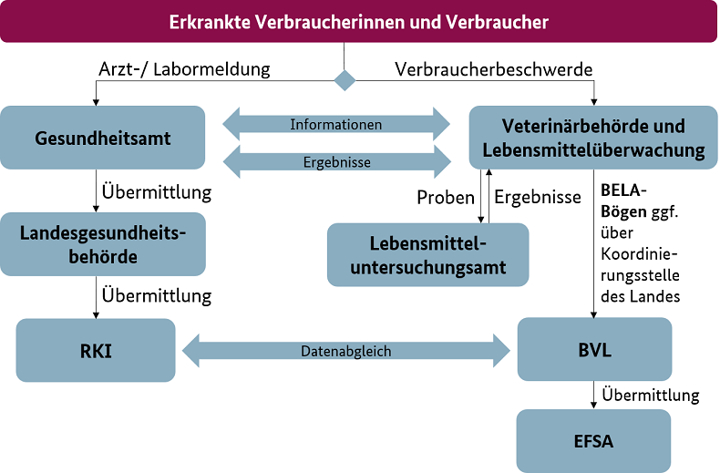 Meldewege bei lebensmittelbedingten Krankheitsausbrüchen