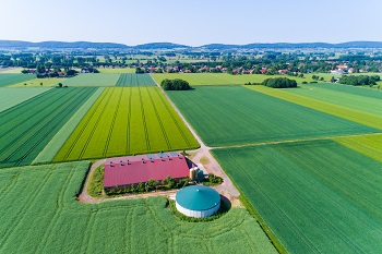 Das Bild zeigt ein Schweinestall aus der Luft.