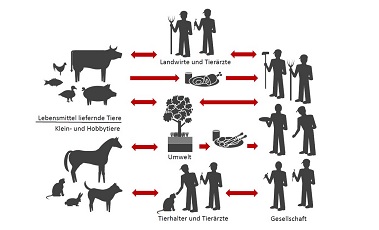 Das Bild zeigt die Verbindungen zwischen Tieren und Menschen