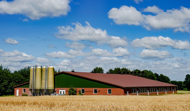 Das Bild zeigt ein landwirtschaftliches Gebäude. (Quelle: Countrypixel - stock.adobe.com)