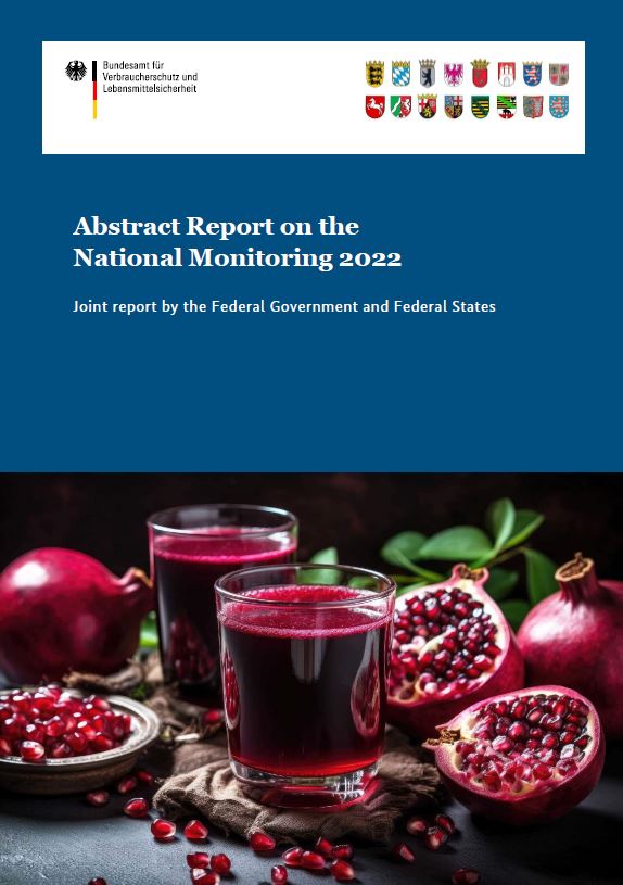 Abstract Report on the National Monitoring 2022