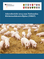 Der NRKP 2013 steht Ihnen hier zum Download zur Verfügung.