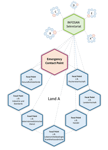 Beispielbild INFOSAN Netzwerkstruktur