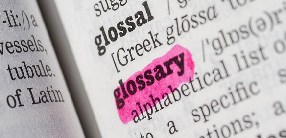 Glossar