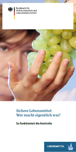 BVL-Flyer: Sichere Lebensmittel: Wer macht eigentlich was?